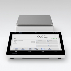 CY10 Precision Balance
