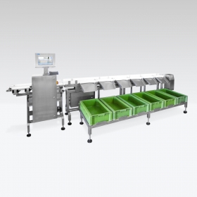 DWM/HPS Sorting Checkweigher
