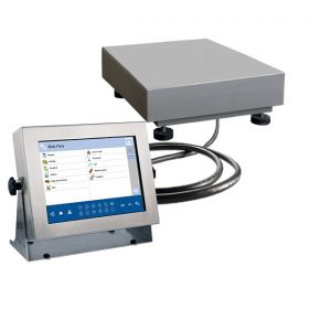 HY10 H Stainless Steel Multifunctional Scale