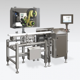 Labelling Scales